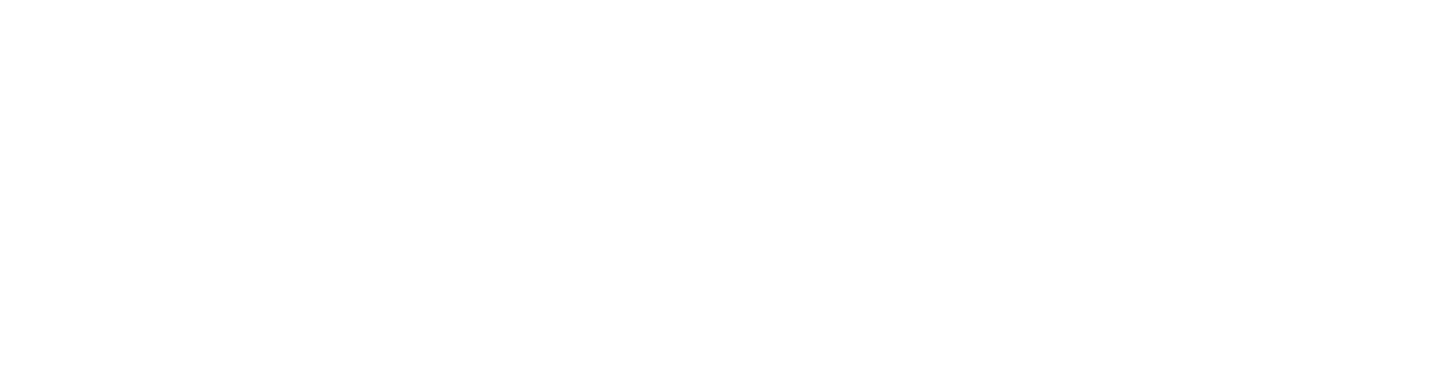 BirBilet